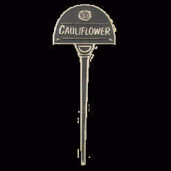 VEGETABLE SIGNS - CAULIFLOWER