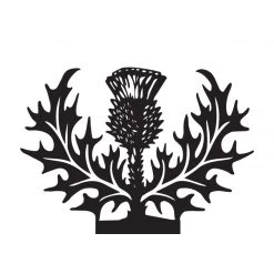 Scottish Thistle Weathervane -Garden Supply Discount Store bespoke thistle weathervane to size