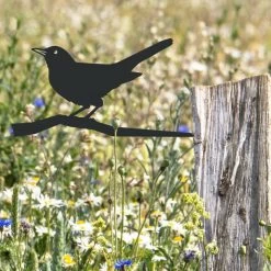 Blackbird Iron Tree Spike - Black -Garden Supply Discount Store blackbird tree spike 6