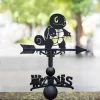 Cast Iron & Steel Unevolved Water Reptile Character Weathervane -Garden Supply Discount Store cast iron steel unevolved water reptile character weathervane 5