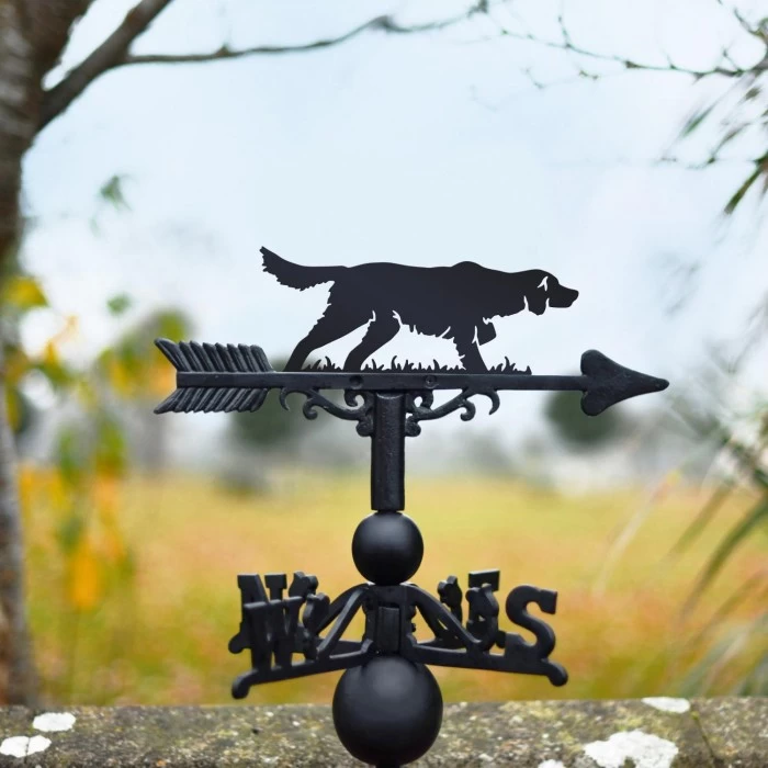 Irish Setter Weathervane 6 Irish Setter Weathervane - Image 4