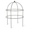 Steel Domed Plant Support - 75cm -Garden Supply Discount Store steel domed plant support 2