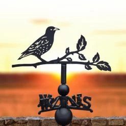 Starling Weathervane -Garden Supply Discount Store ukbicbrd0011 starling weathervane bcmw 1