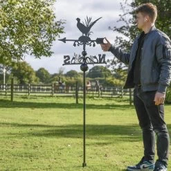 Pheasant Free Standing Weathervane -Garden Supply Discount Store ukbicf038 freestanding phesant weathervane 5