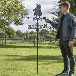 Mr Toad Free Standing Weathervane -Garden Supply Discount Store ukbicf620 freestanding mr toad weathervane 2