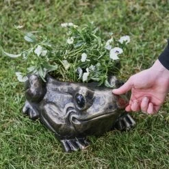 Antique Gold Toad Planter 10 Antique Gold Toad Planter -Garden Supply Discount Store ukhng256 5 1