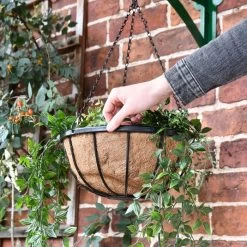 16" Iron Hanging Basket -Garden Supply Discount Store ukmn585 6 1