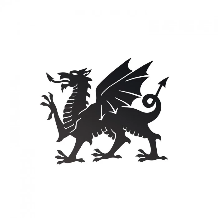 Black Welsh Dragon Wall Art - 60cm