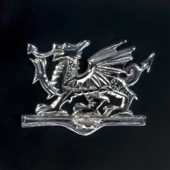 Deluxe Bright Chrome “Viserion- Welsh Dragon" Wall Mounted Post Box -Garden Supply Discount Store welsh dragon motif post box bright chrome close up of chrome dragon